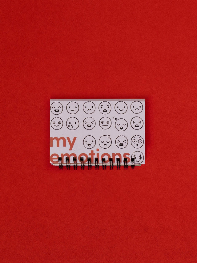 My Emotion Booklet: Develop Emotional Awareness for Kids Age 4-6