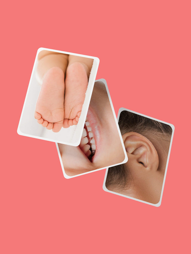 Body Parts Recognition Flashcard for Kids