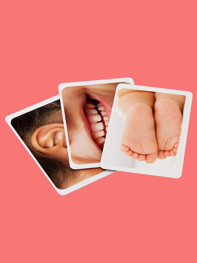 Body Parts Recognition Flashcard for Kids